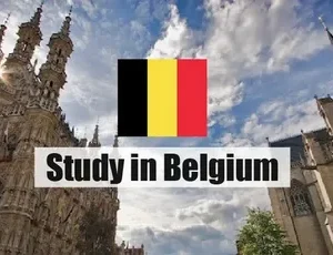 RISE German Scholarship