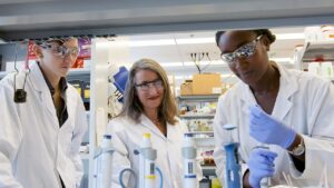 Amgen Scholarship